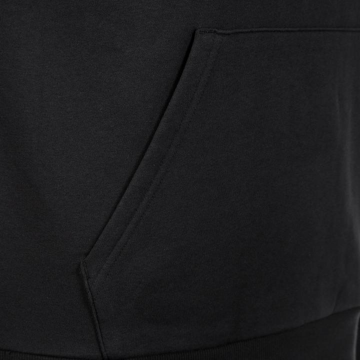 Produktbild Puma Essentials Big Logo Kapuzenpullover Herren (L)