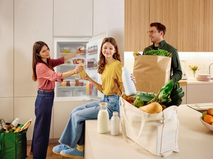 Actual product image Gorenje RKI514E21 (208 l)