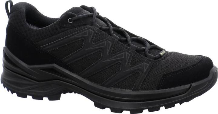 Image du produit Lowa Innox Pro GTX LO TF (45)