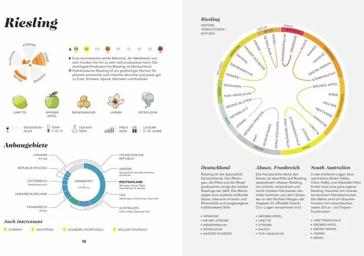 Productafbeelding Der Master Wein-Guide (Duits, Madeline Puckette, 2019)