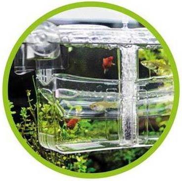 Produktbild Hobby Ablaichkasten NIDO 4