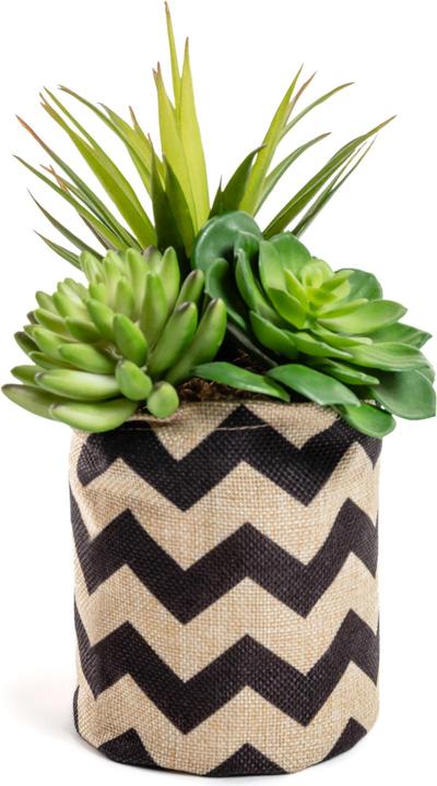 Image du produit Kave Home Suculenta (23 cm)