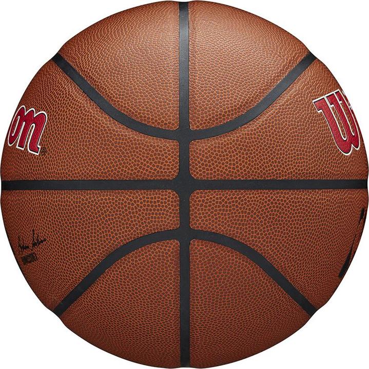 Produktbild Wilson Nba Team Alliance Basketball Tor Raptors (7)