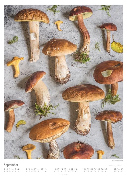 Immagine prodotto Food Gallery Kalender 2026 (49 x 68 cm)