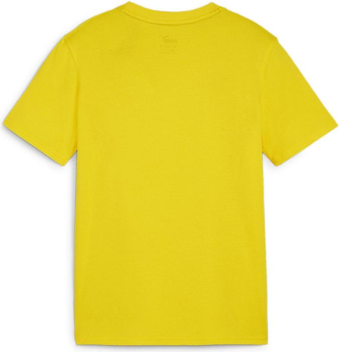 Actual product image Puma teamGOAL Casuals Tee Jr (140)
