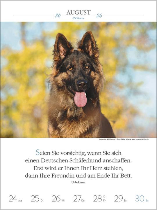 Produktbild Literaturkalender Hunde 2026 (Spezial)