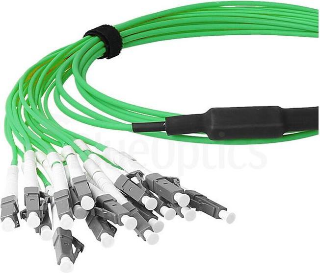Actual product image BlueOptics Fibre optic MTP/8xLC duplex breakout cable OM5 2 metres (2 m)