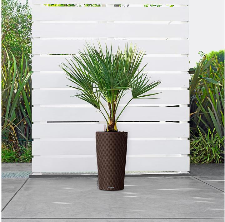 Produktbild Lechuza CILINDRO Cottage All-In-One (32.50 cm)