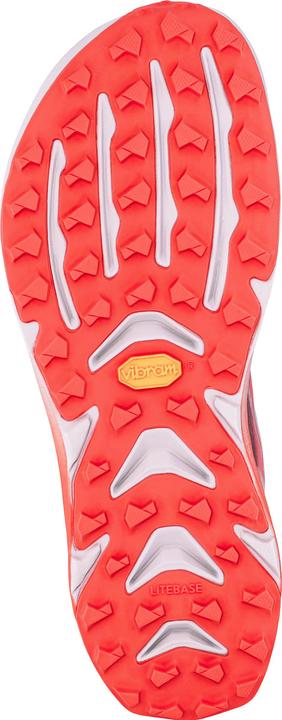 Produktbild Altra Mont Blanc Speed Men (46)