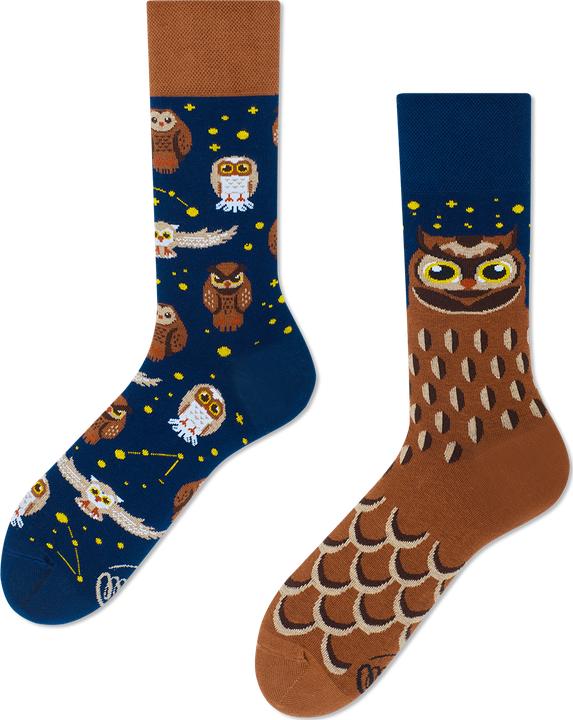 Immagine prodotto Many Mornings Owly Moly (Confezione singola, 35 - 38)