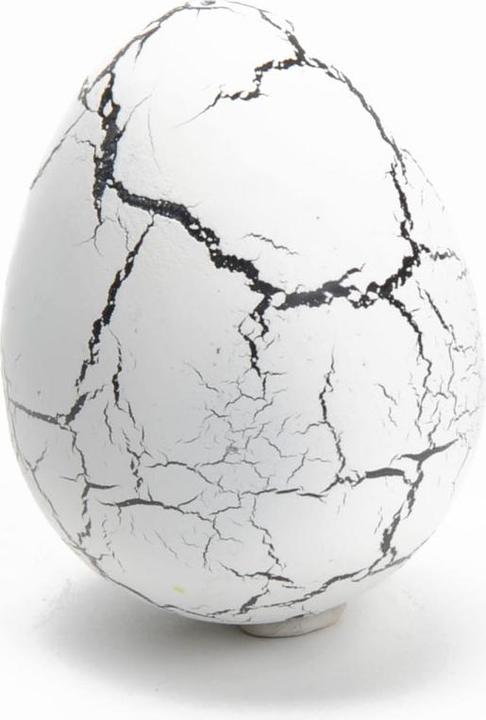 Image du produit Hippo OEuf de croissance Dino