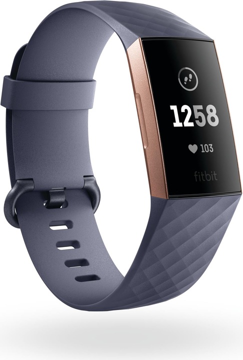 Fitbit Charge 3 (28.80 mm)