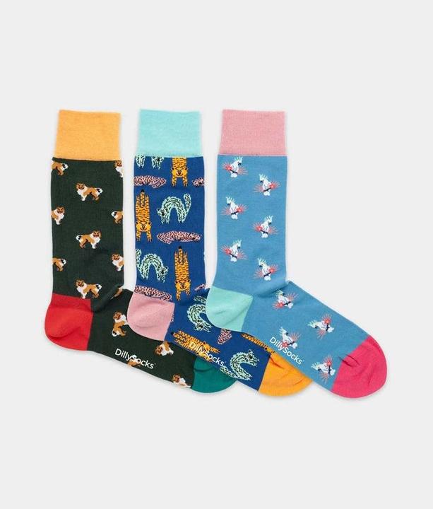 Actual product image DillySocks Pet Trio (Single pack, 36 - 40)