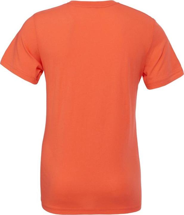 Actual product image Bella Canvas Adults Unisex Crew Neck T-Shirt (XXL)