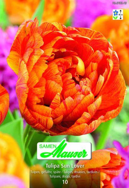 Produktbild Samen Mauser Sun Lover späte gefüllte Tulpe (Blumensamen)