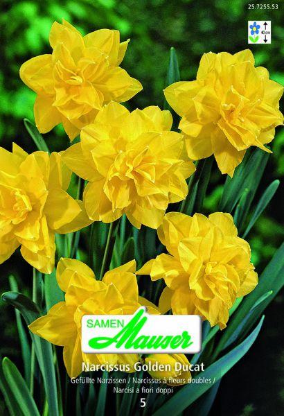 Produktbild Samen Mauser Golden Ducat gefüllte (Blumensamen)
