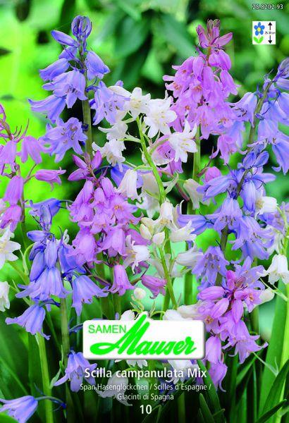 Produktbild Samen Mauser Scilla campanulata (Blumensamen)