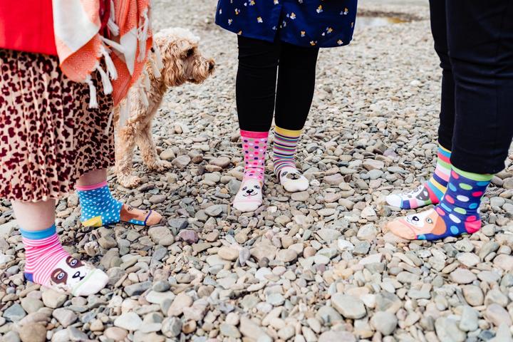Produktbild United Oddsocks Ladies (Einzelpack, 37 - 42)
