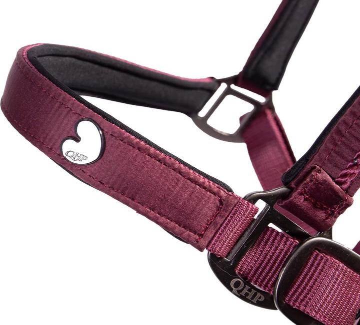 Immagine prodotto Qhp set di cavezza e corda per cavalli lily