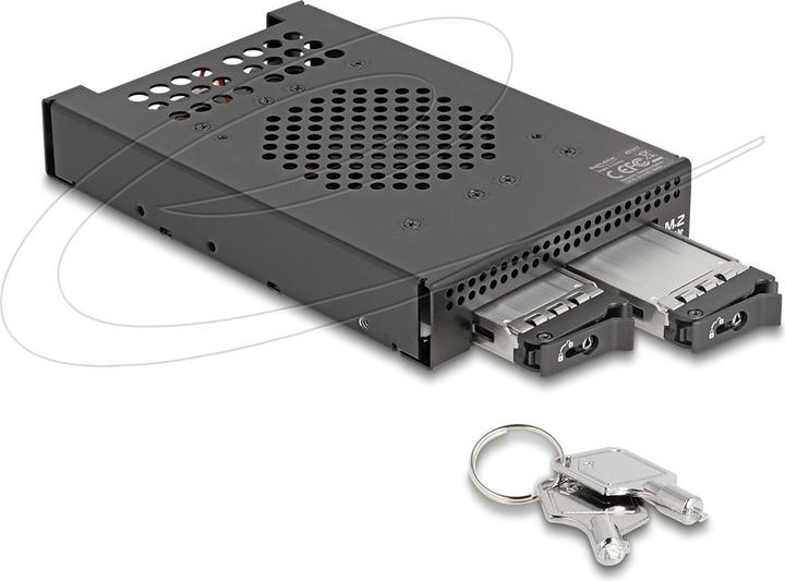 Actual product image Delock 3.5? Removable frame for 2 x M.2 NVMe SSD with Slim SAS