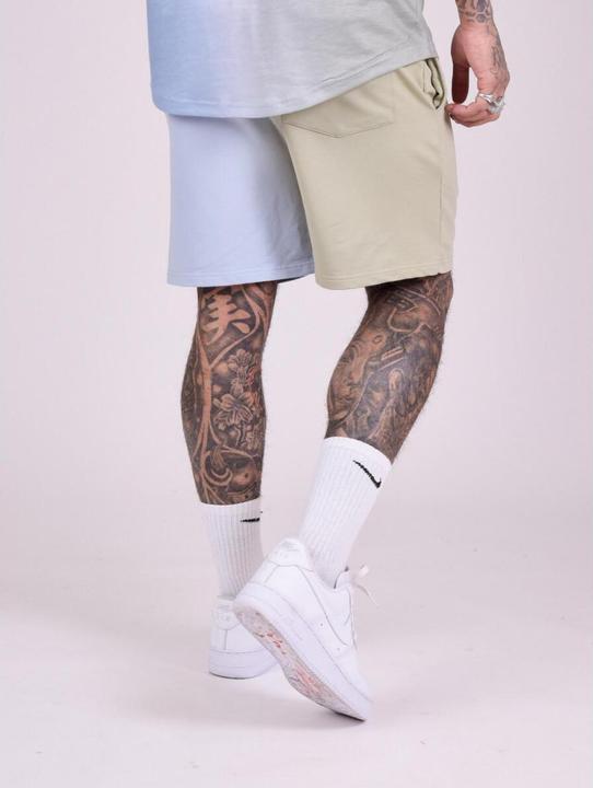Actual product image Project X Paris Two-tone gradient shorts (S)
