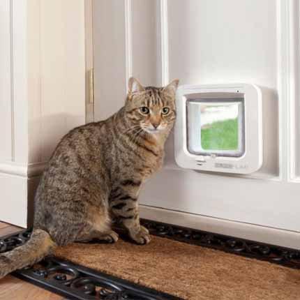 Actual product image SureFlap Microchip (Microchip Cat Flap)