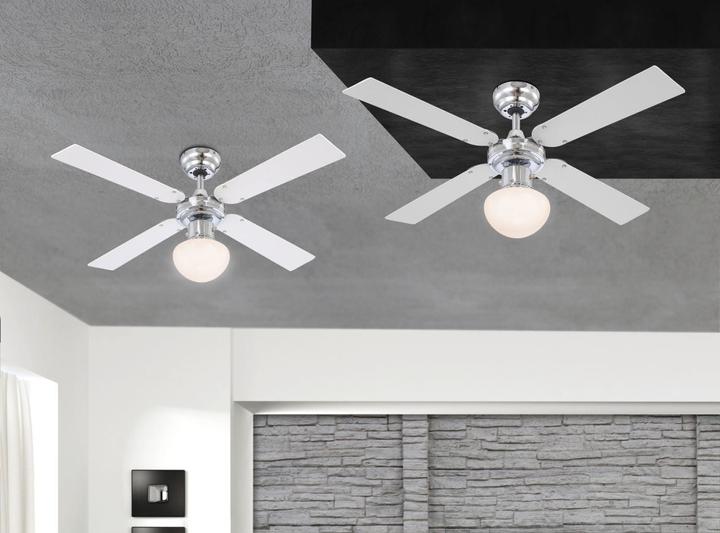 Actual product image Globo Champion (41.89 dB)