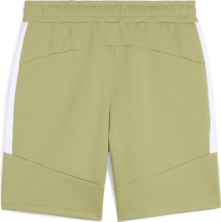 Actual product image Puma teamEVOSTRIPE Shorts (M)
