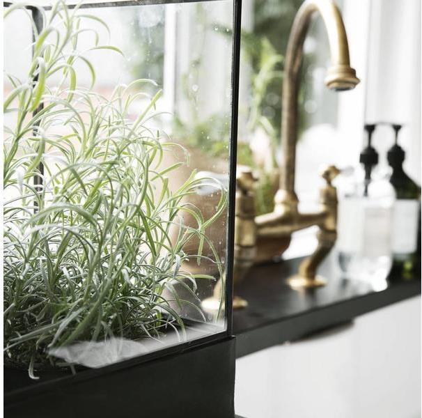 Actual product image House Doctor Plant (1 x)