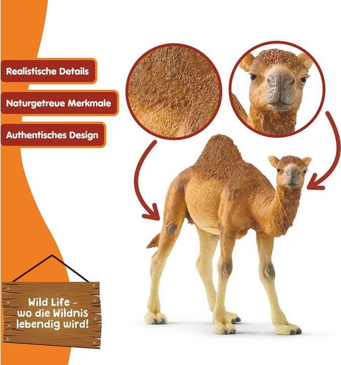 Produktbild Schleich Dromedar