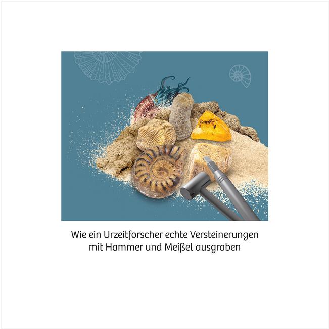 Image du produit Kosmos Fossiles