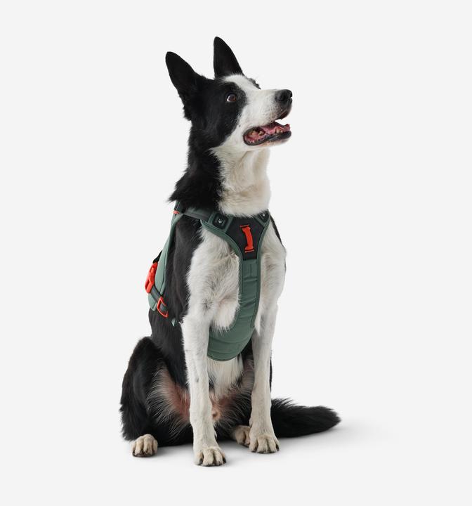 Produktbild Caperlan Hundegeschirr Wandern (L)