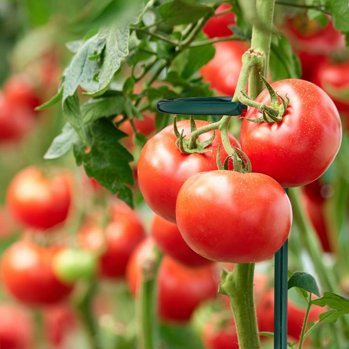 Produktbild Relaxdays Rollgarderobe