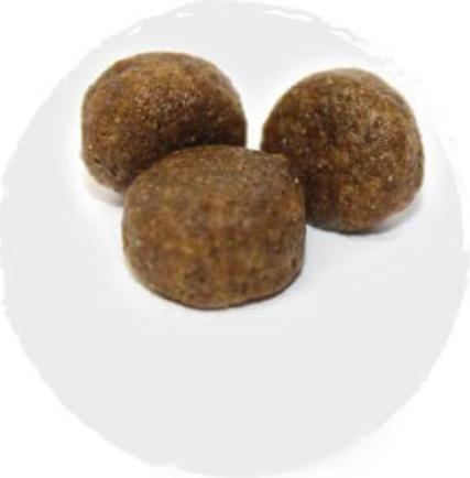 Immagine prodotto Kyli FreshNature Nr. 1 Salmon & Potato Junior (Junior, 3000 g)