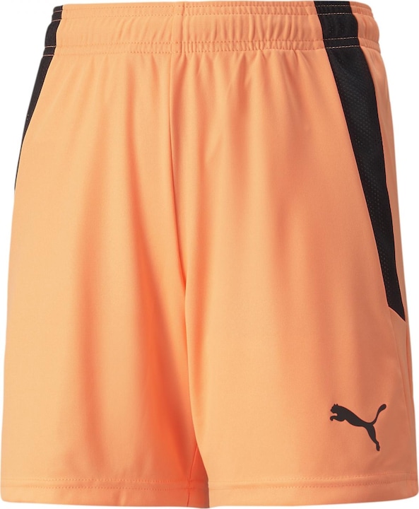 pumawhite pumpkin varnish