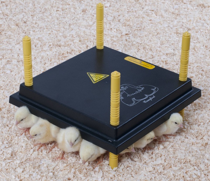 Actual product image Olba Comfort