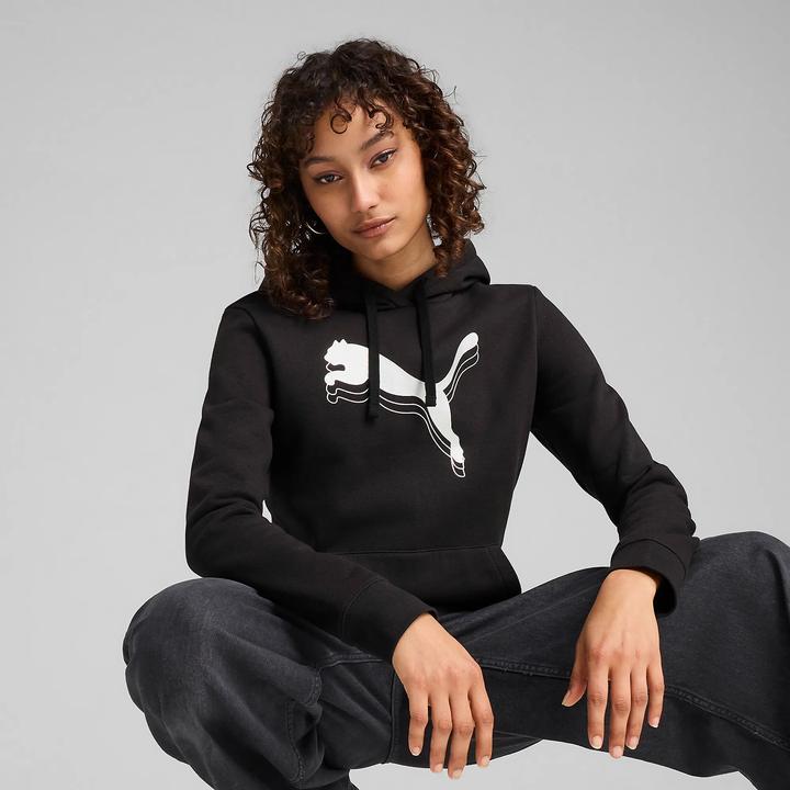 Image du produit Puma Sweat à capuche ESS METALLIC FL (S)