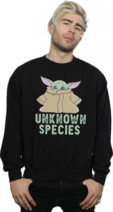 Image du produit Star Wars - Sweat THE MANDALORIAN UNKNOWN SPECIES - Homme (3XL)
