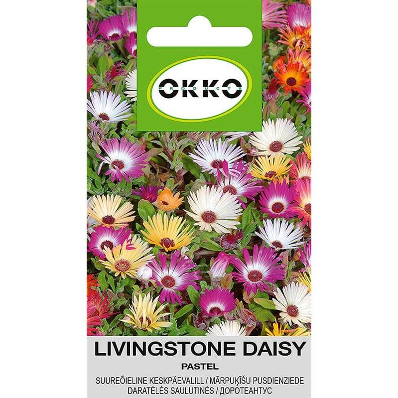 Okko, Semi, Seeds PASTEL, 0.5 g