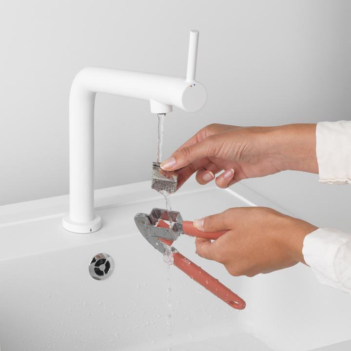 Actual product image Brabantia Tasty+
