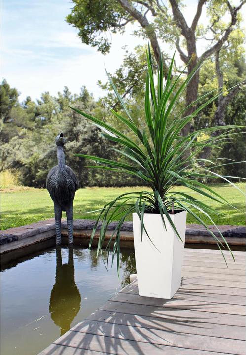 Actual product image Lechuza Cubico Color (39.50 cm)