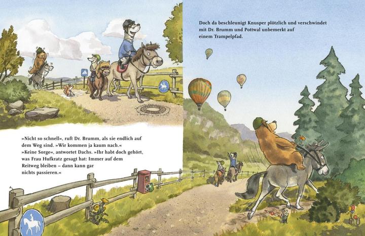 Produktbild Dr. Brumm: Dr. Brumm auf dem Ponyhof (Deutsch, Daniel Napp, 2022)