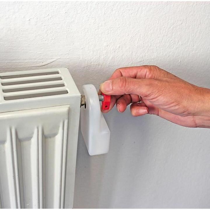 Actual product image Rothenberger Industrial Heizkörper Entlüfter