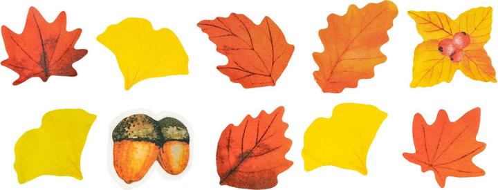 Actual product image Colorations Washi sticker autumn theme on roll, 80s.