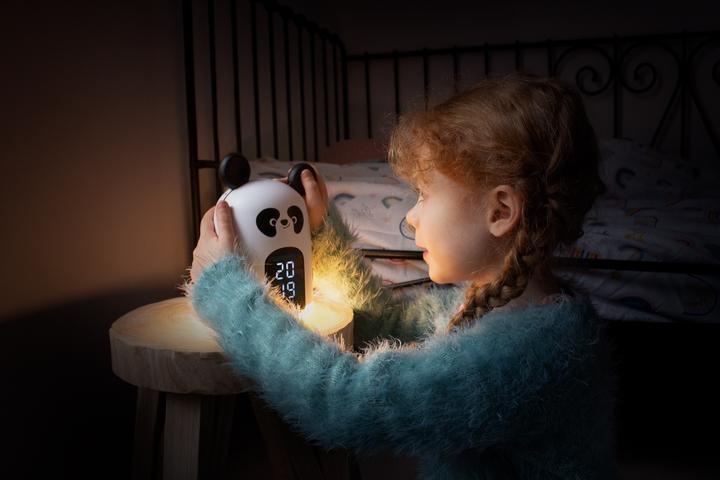 Productafbeelding Bigben Panda