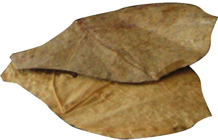 Produktbild Dennerle Nano Catappa Leaves (Wasseraufbereitung Aquarium)