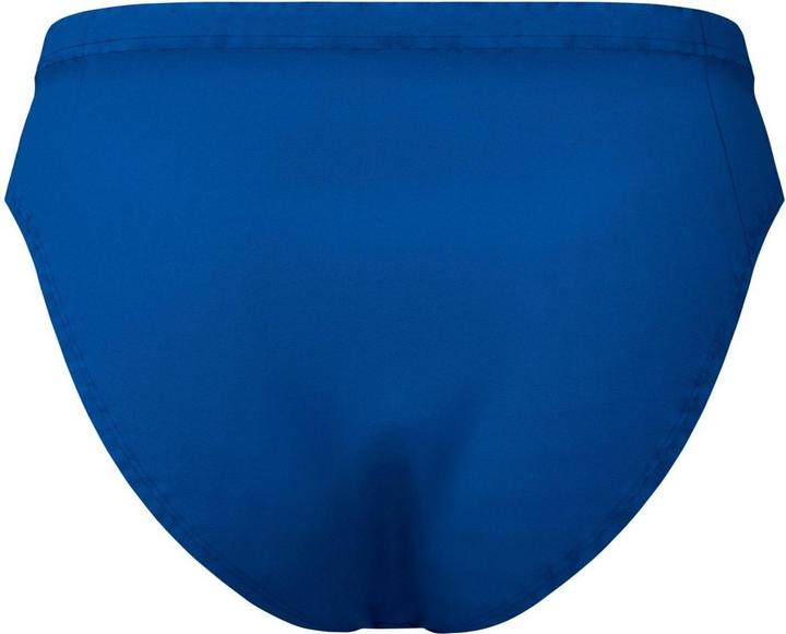 Bleu roi
