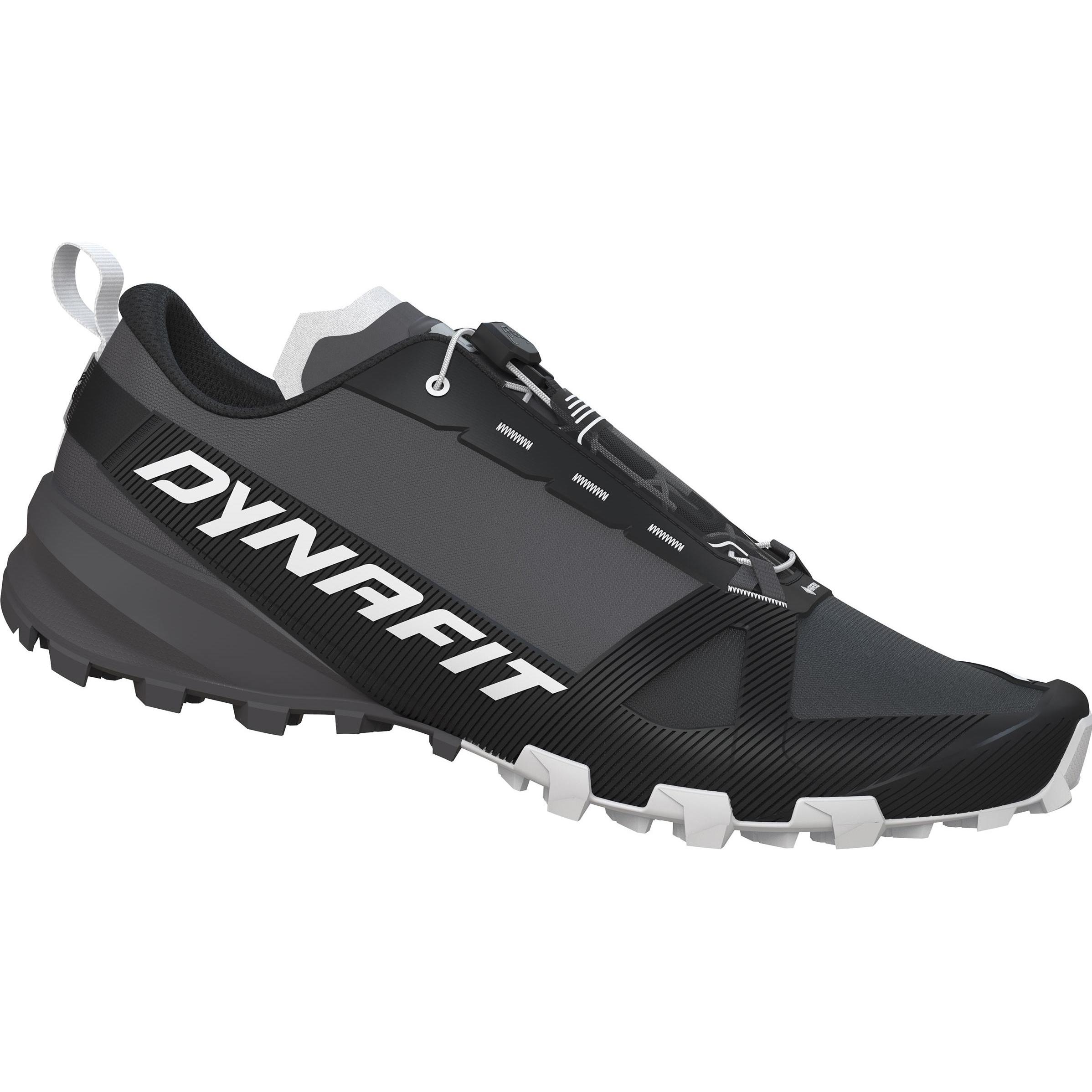 Dynafit, Herren, Wanderschuhe, Traverse GTX (42), Grau