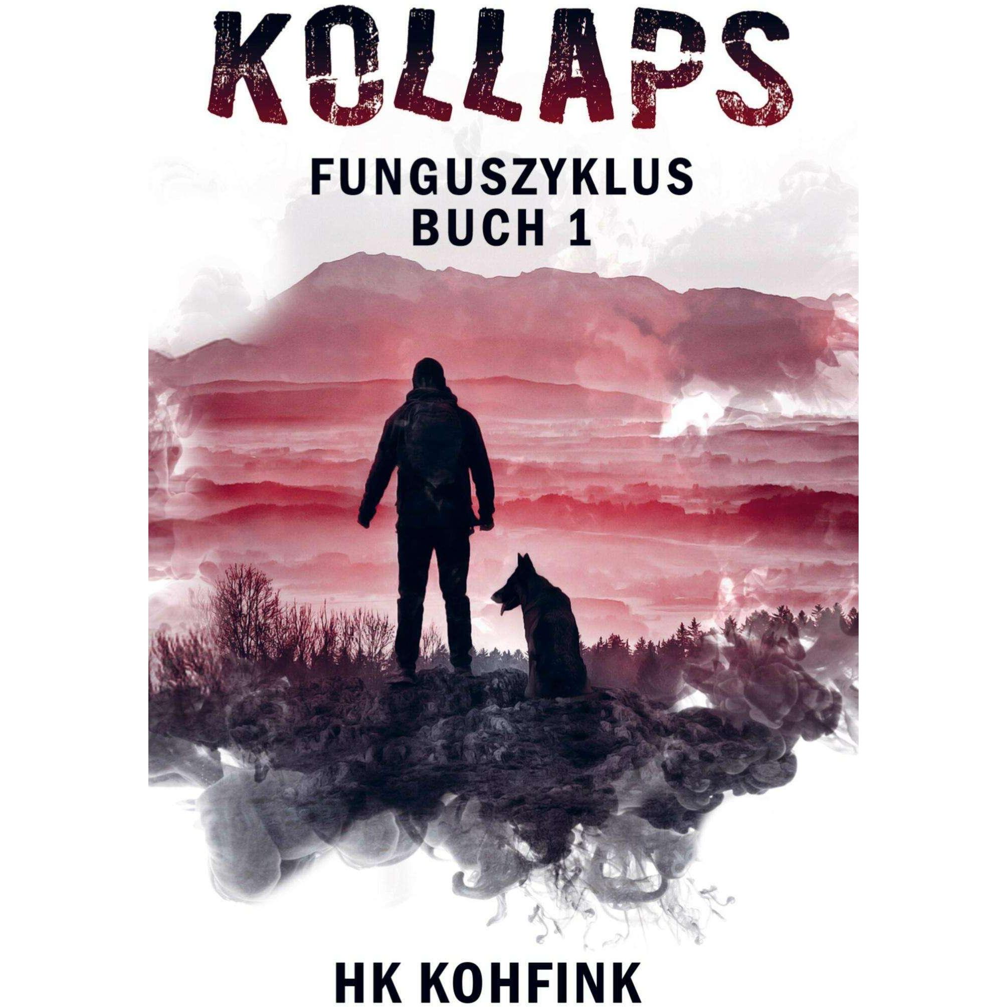 Kollaps, Belletristik von Heiko Kohfink