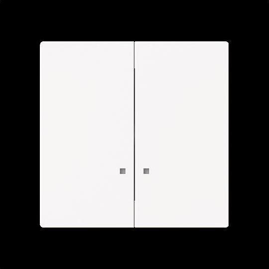 Busch-Jaeger, Programma di commutazione degli accessori, Rocker